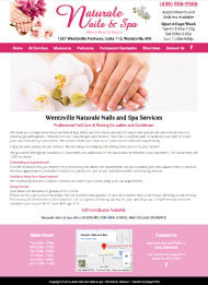 Wentzville business website