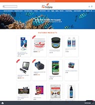 online store website designer